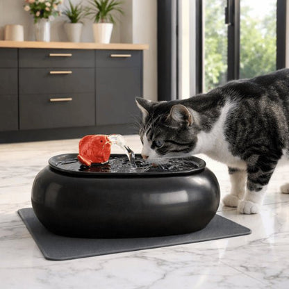 Chat tigré buvant dans une fontaine chat noire en céramique avec buse poisson et eau filtrée – OCool™
