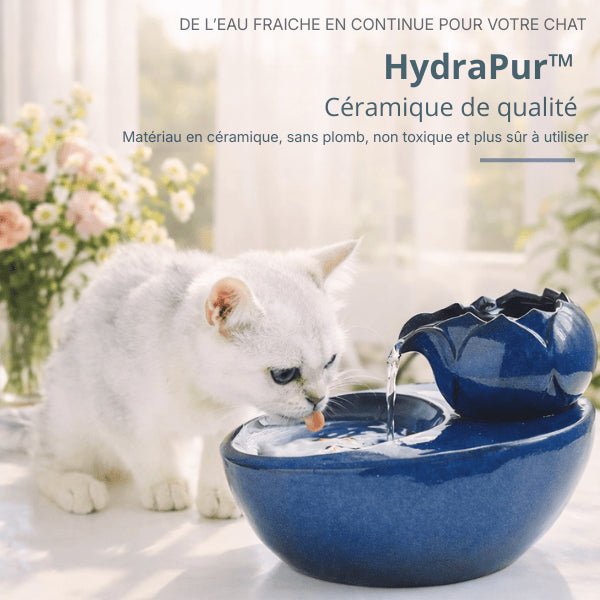 Chat blanc buvant dans une fontaine céramique bleu lotus avec flux d’eau doux et filtré – HydraPur™