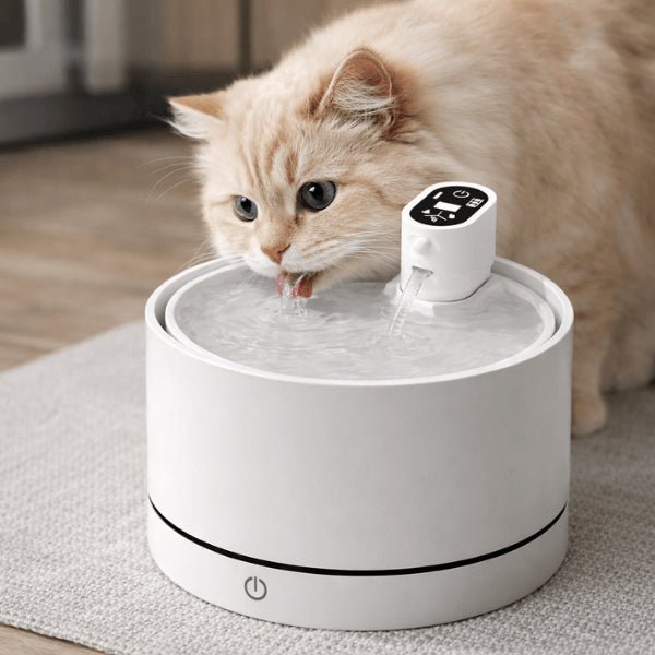 Chat buvant eau filtrée dans fontaine a eau chat céramique sans fil ultra silencieuse - Hydratec™