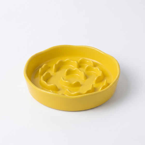 Gamelle anti-glouton chat céramique pour réduire les vomissements en alimentation lente