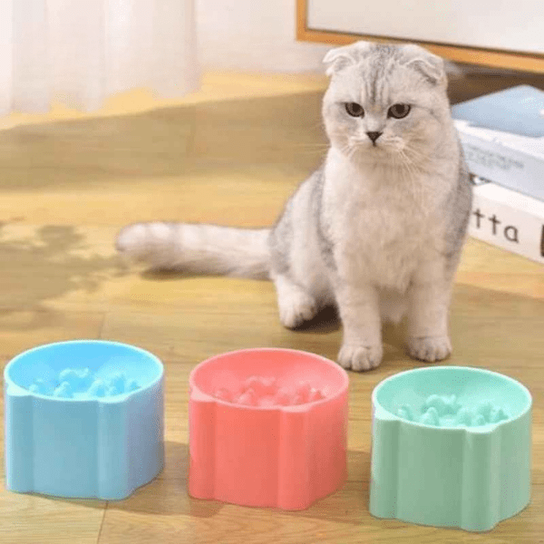 Gamelle anti glouton chat colorée – ralentit l’ingestion et évite l’obésité