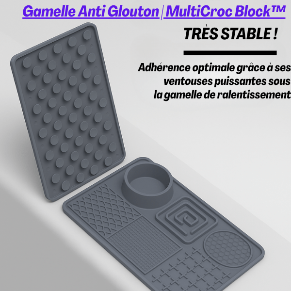 Gamelle anti - glouton chat | MultiCroc Block™ - Amour de Chat