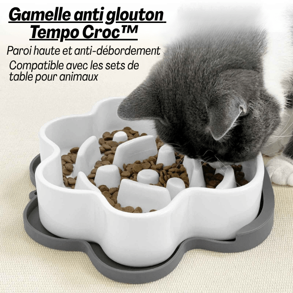 Gamelle anti glouton chat Tempo Croc™ – compatible croquettes et pâtée