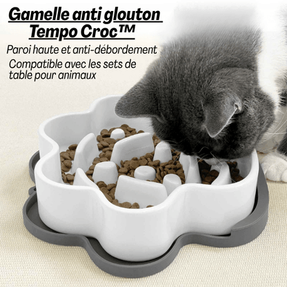 Gamelle anti glouton chat Tempo Croc™ – compatible croquettes et pâtée