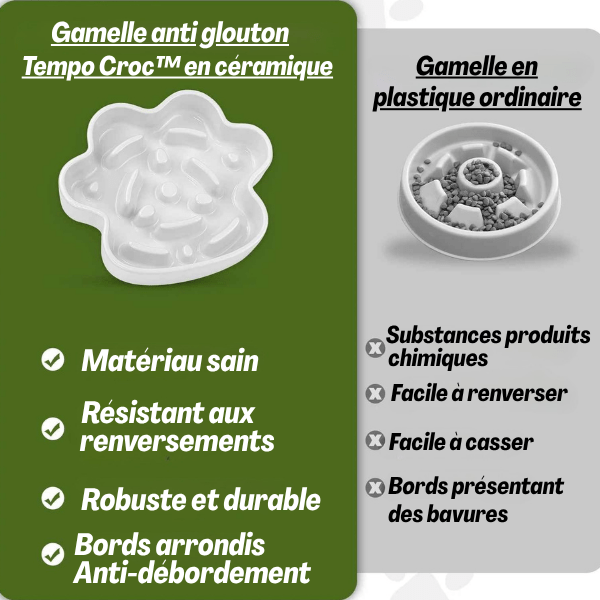 Gamelle anti glouton chat céramique avec paroi anti débordement et anti-vomissement