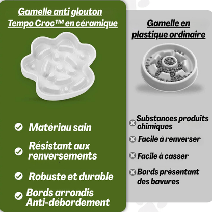Gamelle anti glouton chat céramique avec paroi anti débordement et anti-vomissement