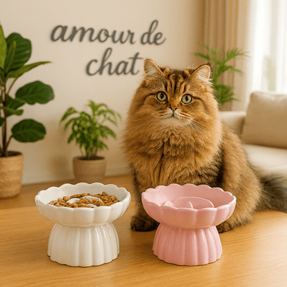 Gamelle anti glouton chaton céramique surélevée 2 bols chat salon | CéramWhisker™