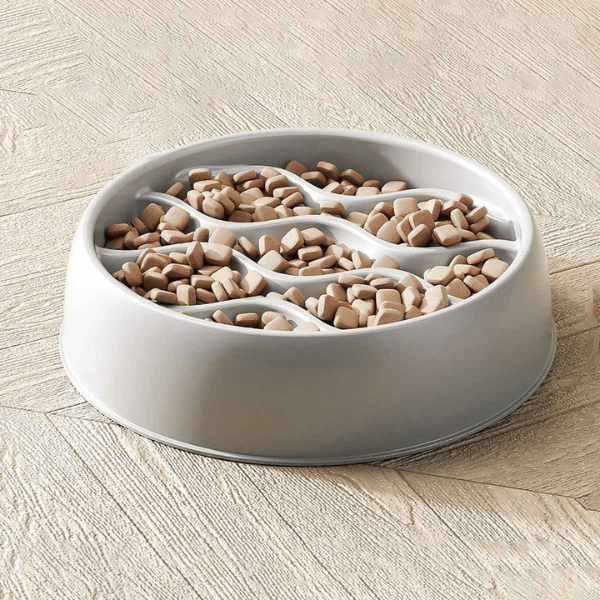 Gamelle anti glouton chaton grise – stable et adaptée aux croquettes et pâtée