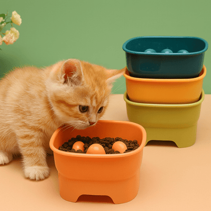 Chaton mange croquettes dans gamelle anti glouton chaton surélevée SavourKitten™