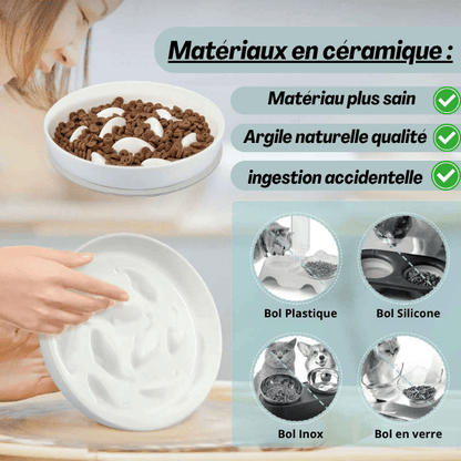 Modèle en céramique matériaux sain utilisé comme gamelle anti glouton