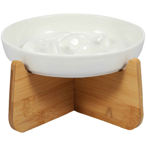 Assiette ronde blanche gamelle anti glouton pour chat avec support surélevé