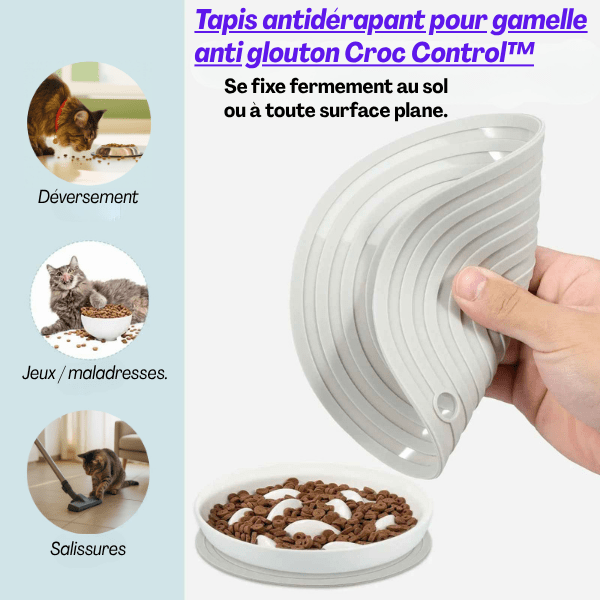 Design poisson et bénéfices de gamelle anti glouton repas lents avec tapis
