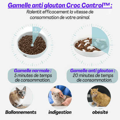 Gamelle anti glouton qui ralentit l’ingestion des croquettes