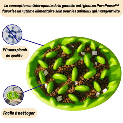 Gamelle anti glouton PurrPause™ verte – modèle innovant à picots