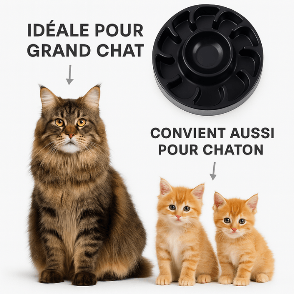 Gamelle anti glouton WhiskerPause™ idéale pour chat et chaton