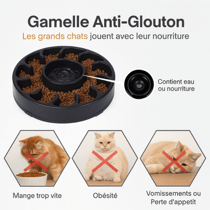 Gamelle anti glouton WhiskerPause™ 2en1 eau et croquettes – conception labyrinthe