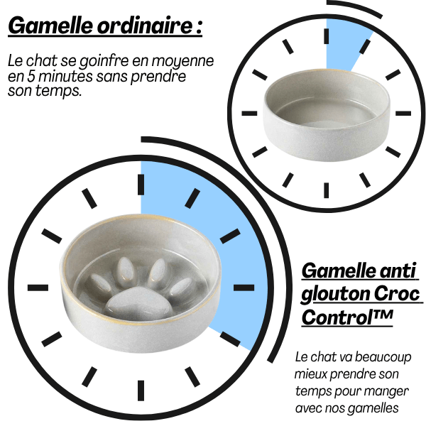Montage ZenCroquette™ – détails du bol et vue d’usage anti glouton