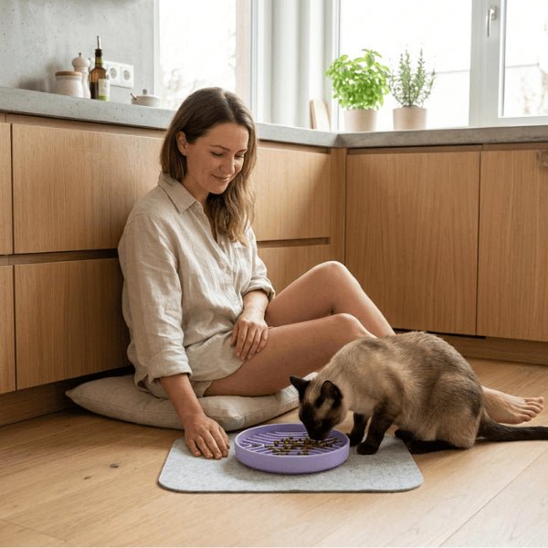 gamelle anti gloutons chat utilisation cuisine siamois favorise digestion lente et réduit stress alimentaire