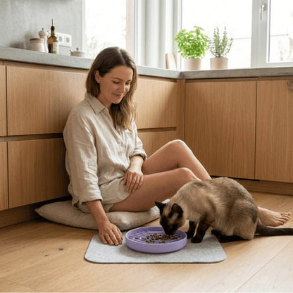 gamelle anti gloutons chat utilisation cuisine siamois favorise digestion lente et réduit stress alimentaire