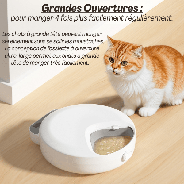 Gamelle automatique chat nourriture grand bol pour prise de repas facile tous les chats - Féli-Feeder™