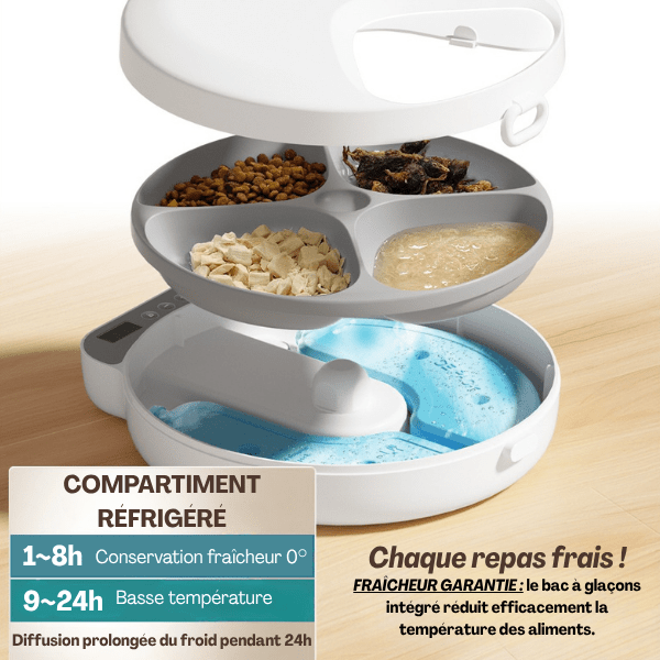 Gamelle automatique chat nourriture fraîche pack glace fraîcheur garantie conservation - Féli-Feeder™