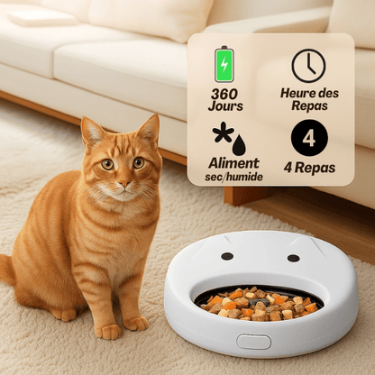 Gamelle automatique chat nourriture 4 repas sans fil autonomie 360 jours aliment sec humide - Féli-Feeder™