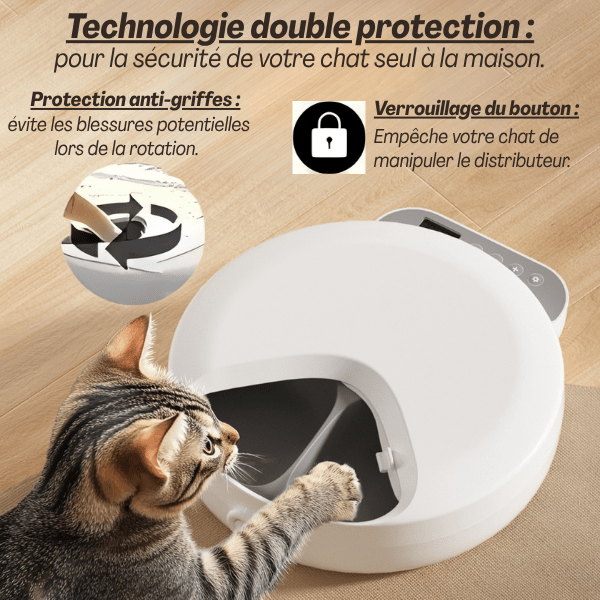 Gamelle automatique chat nourriture double protection patte chat sécuritaire anti blessure - Féli-Feeder™