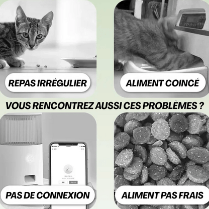 Gamelle automatique chat sans fil pour habitudes alimentaires répond à tous les inconvénients - Minute-Croq™