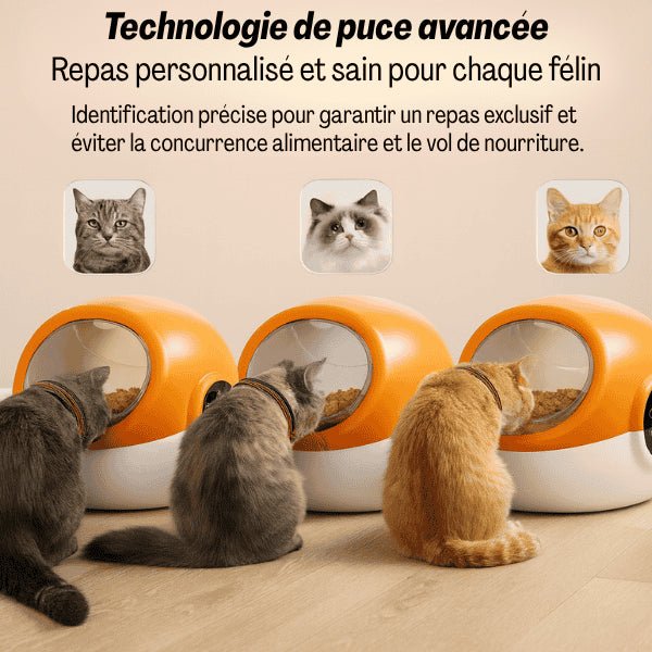 Gamelle automatique chat puce intelligente technologie avancée identification RFID - CrocTech Edition™