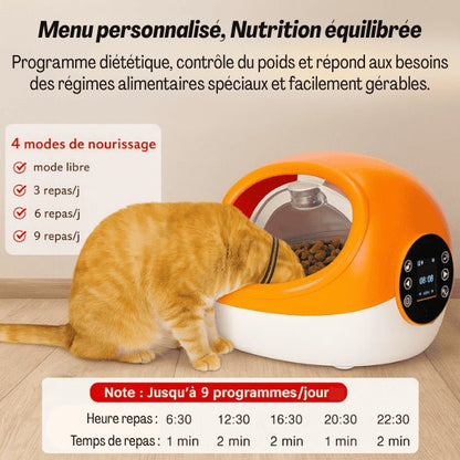 Gamelle automatique chat puce repas programmables personnalisés facilement CrocTech Edition™
