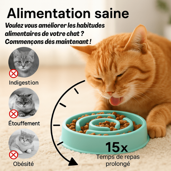 Gamelle chat anti glouton – stable, alimentation saine et lente, habitudes alimentaires