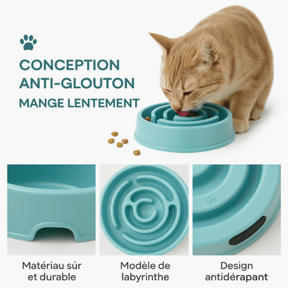 Chat avec gamelle chat anti glouton Bowl Control™ bleue labyrinthe antidérapante