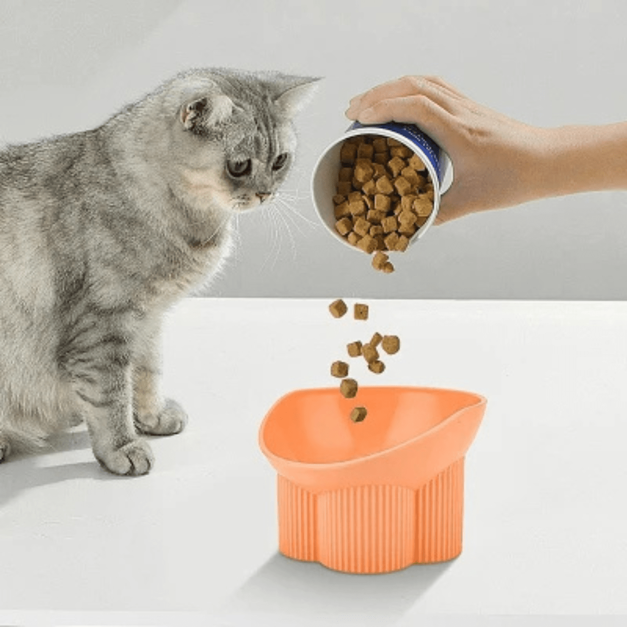 Gamelle chat anti renversement orange avec chat gris et main qui verse croquettes dans gamelle Anti-tipCatBowls™