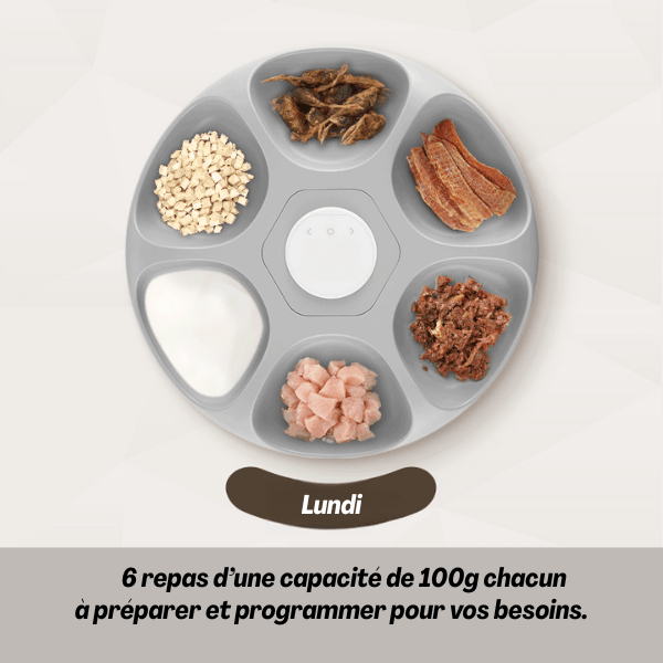 Gamelle chat automatique connectée sans fil 6 x 200 ml repas autonome longue durée - BowlPro 600™