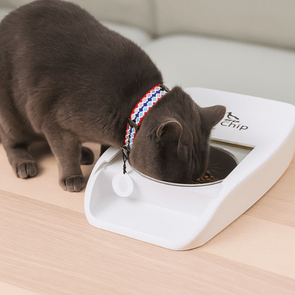 Gamelle chat automatique puce medaillon RFID implants batterie | Feeder Puce Tech™