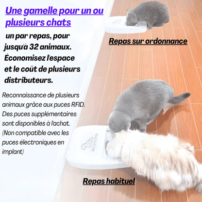 Gamelle chat automatique puce medaillon RFID implants batterie | Feeder Puce Tech™