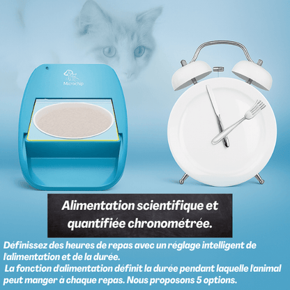Gamelle chat automatique puce medaillon RFID implants batterie | Feeder Puce Tech™