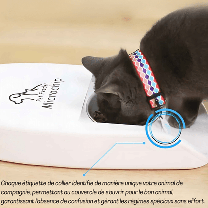 Gamelle chat automatique puce medaillon RFID implants batterie | Feeder Puce Tech™