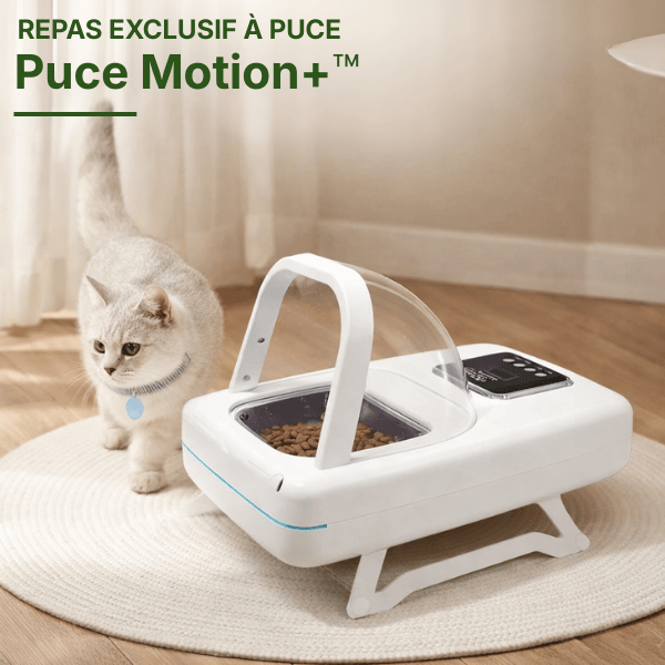Gamelle chat automatique puce et implants à reconnaissance RFID - Puce Motion+™