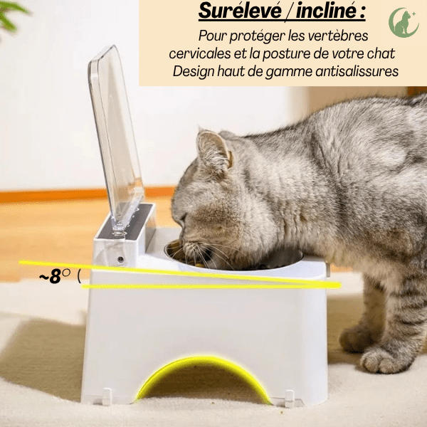Gamelle chat surélevée automatique inclinée 8° pour un confort optimal de repas et sol propre - Smart Feeder™