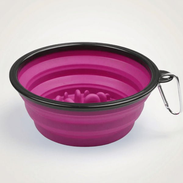 Gamelle chat glouton pliable silicone pour ralentir repas et éviter vomissements