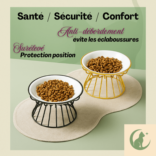 Gamelle chat surélevée céramique 2 bol croquettes avec support fer doré et noir dans salon - Trône Gourmet™