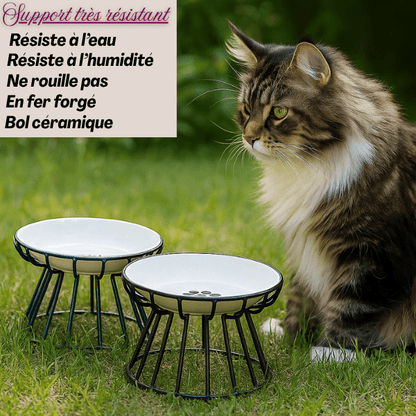 Gamelle chat surélevée céramique support fer forgé résistant et maine coon à l'extérieur - Trône Gourmet™