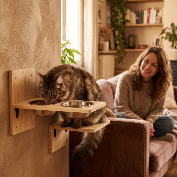 Gamelle en hauteur pour chat créant un espace repas mural calme loin du sol