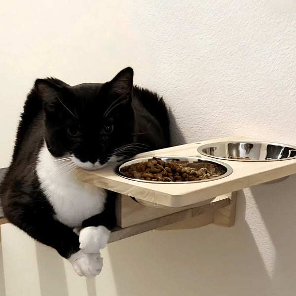 Gamelle en hauteur pour chat murale en bois avec deux bols inox amovibles