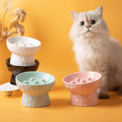 Gamelle ludique pour chat 4 couleurs avec chat PawSlow