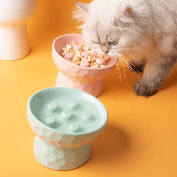 Gamelle ludique pour chat vus dessus avec félin qui va manger repas lent
