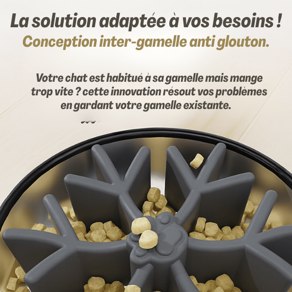 Gamelle pour chat anti glouton adaptée et idéale pour félin qui mange trop vite