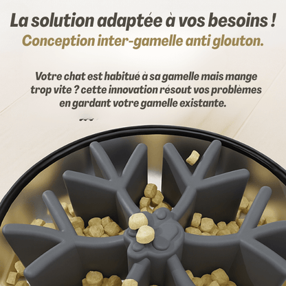 Gamelle pour chat anti glouton adaptée et idéale pour félin qui mange trop vite