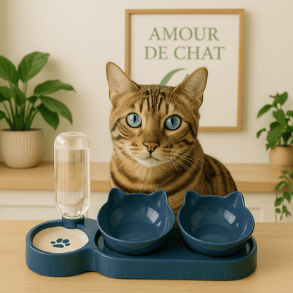 Gamelle pour chat double bol et distributeur eau chat bleu avec félin cuisine - Buffet-Cat™